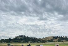 Youth Cattle Camp revived for 2024