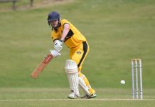 Tigers ready to show claws