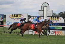 Track closed indefinitely