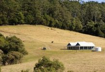 Consultation open for bushfire planning