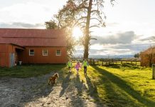 Safety program reaches thousands