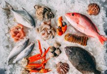 Australian fisheries and aquaculture thrived in 2022