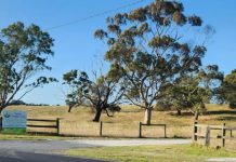 Council shoots down request