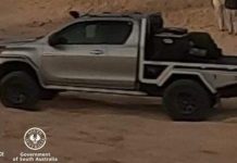 Police find hit and run ute