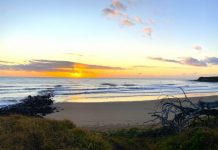 Protecting South Australian coastlines