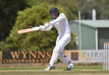 Roos show batting depth
