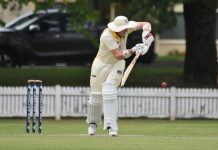 Tigers dig claws into Day 2