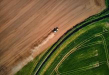 GRDC invests $1.9m in research for climate-resilient crops