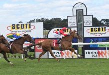 Dare we dream the improbable?