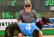 Liam rocks in the pool