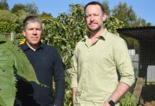 Grocery prices under scope