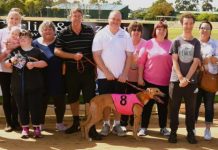 Forging connections at Tara Raceway