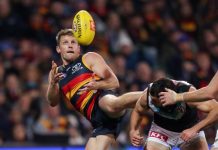 Adelaide’s ex-captain Sloane has eye surgery again