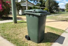Next steps for bin services