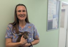 Keep your furry friends safe at Easter