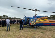 Forestry careers explored