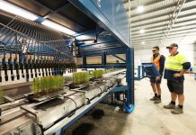 Investing in the future of forestry