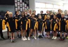 Additional Indigenous logo for school