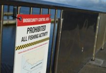 Fishing back on the cards