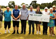 Maiden greyhounds on show at abandoned meeting