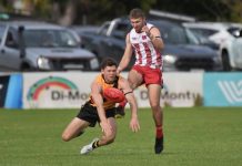 Limestone Coast senior fixture released