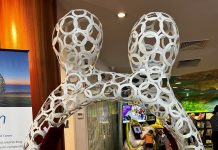 What’s on at the Mount Gambier Library