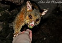 Photo finish for Shaylee