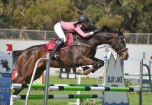 Jumping into Easter Carnival