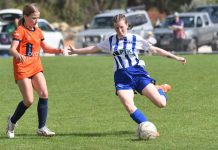 Apollo launches into season with carnival win