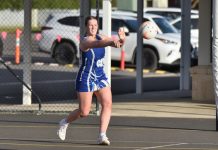 Eagles take flight with fresh lineup