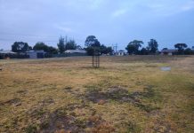 Consultation policy deferred