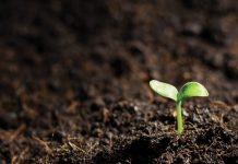 Season’s seeding starting earlier