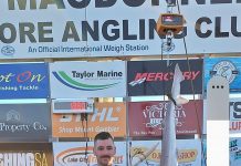 Busy time at the Bay