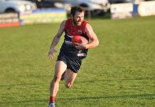 Roos jump across to the Kennel