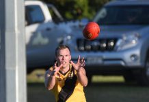 Tigers make cross-border journey