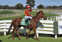 Still as popular as ever