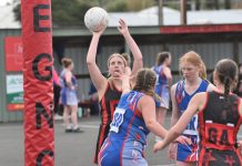 Intriguing contest looms