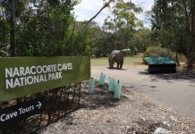 More to caves than expected