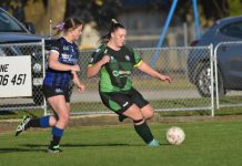 All tied up at Casadio Park