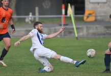 Apollo topples Lions