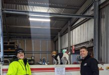 Paws and productivity