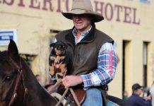 Casterton Kelpie Muster approaches