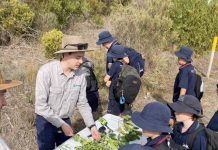 Students learn on Country