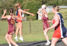 Murphies open game up