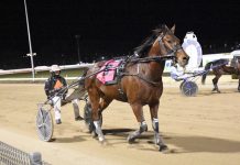 Looking good for racing at Edenhope