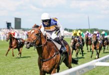 Craving for Group 1 success