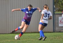 Apollo remain unbeatable