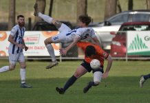 Apollo takes off against Lions