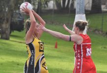 Tigers’ hot form continues