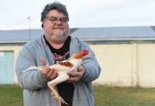 Major event cancelled with bird flu concerns